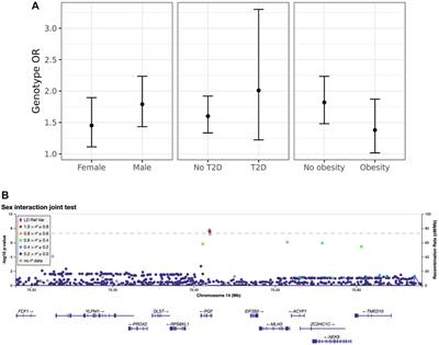 Gene-Environment Interaction Analysis Incorporating Sex, Cardiometabolic Diseases, and Multiple Deprivation Index Reveals Novel Genetic Associations With COVID-19 Severity